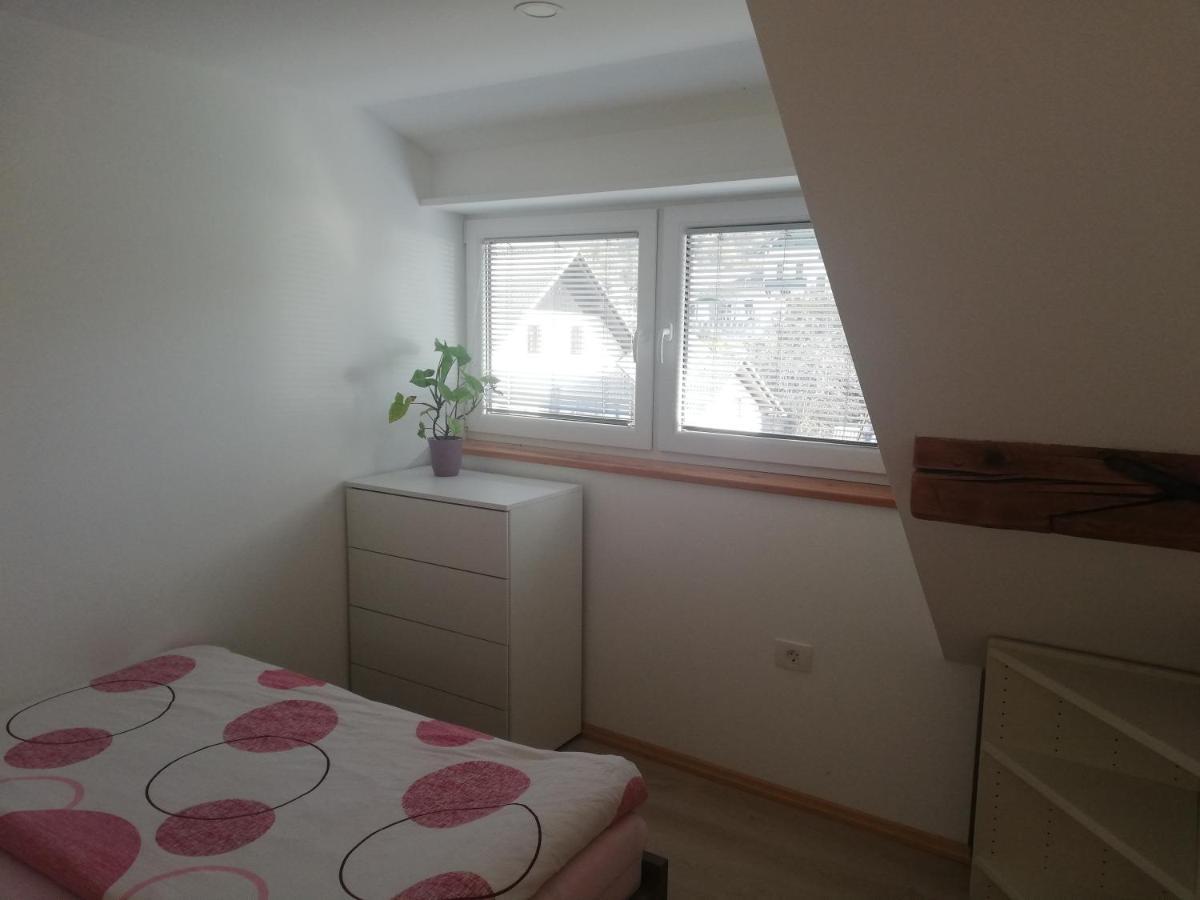Apartment Ana Бохинь Экстерьер фото